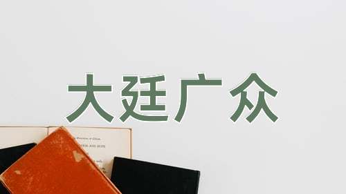 成语大廷广众