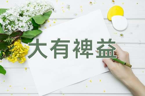 成语大有裨益