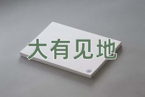 成语大有见地
