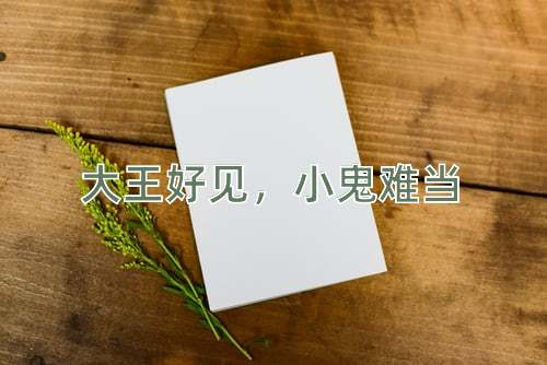 成语大王好见，小鬼难当
