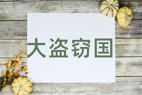 成语大盗窃国