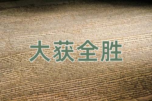 成语大获全胜