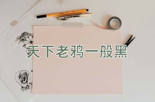 成语天下老鸦一般黑
