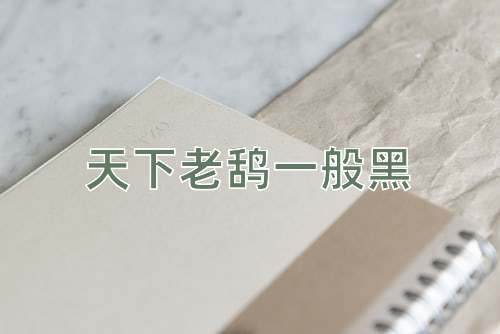成语天下老鸹一般黑