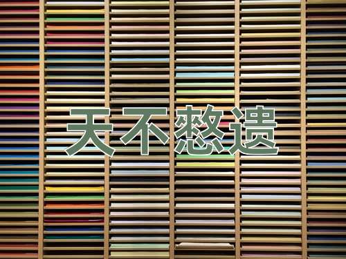 成语天不憗遗