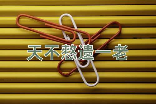 成语天不憗遗一老