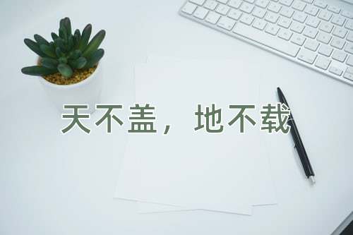成语天不盖，地不载
