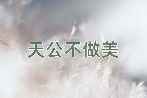 成语天公不做美