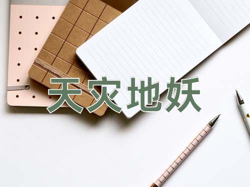 成语天灾地妖