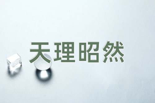 成语天理昭然
