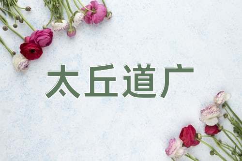 成语太丘道广