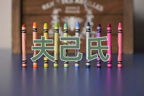 成语夫己氏