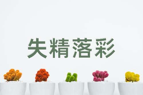 成语失精落彩