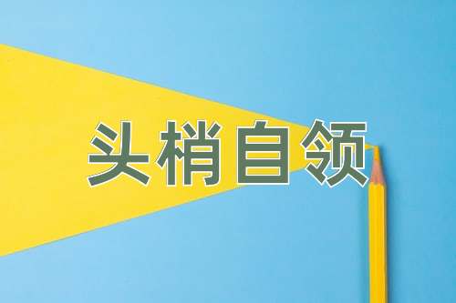 成语头梢自领