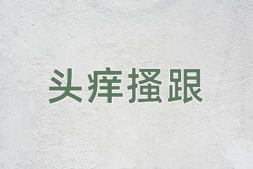 成语头痒搔跟
