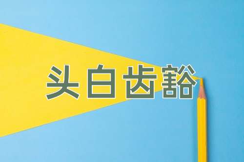 成语头白齿豁