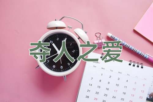 成语夺人之爱