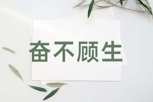 成语奋不顾生