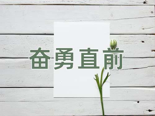 成语奋勇直前