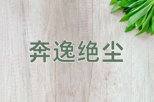 成语奔逸绝尘