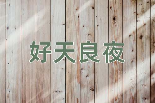 成语好天良夜