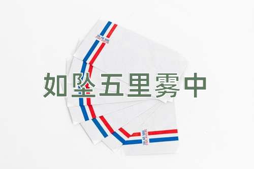 成语如坠五里雾中