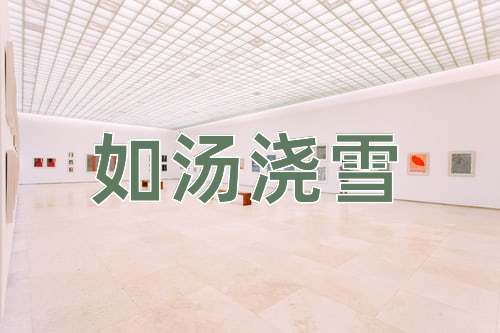 成语如汤浇雪