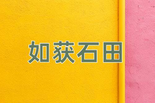 成语如获石田