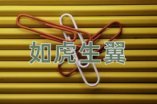 成语如虎生翼