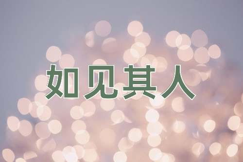 成语如见其人