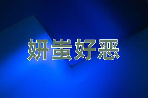 成语妍蚩好恶