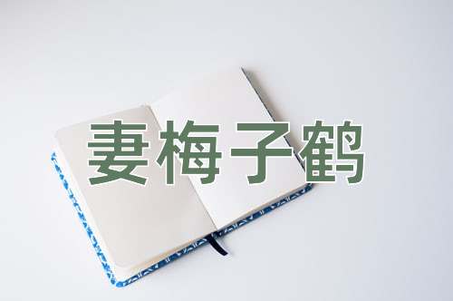 成语妻梅子鹤