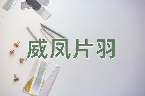 成语威凤片羽