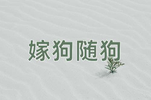 成语嫁狗随狗