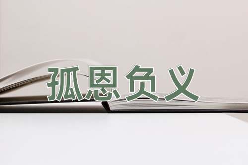 成语孤恩负义