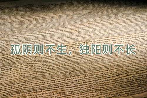成语孤阴则不生，独阳则不长