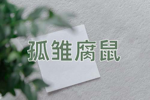 成语孤雏腐鼠