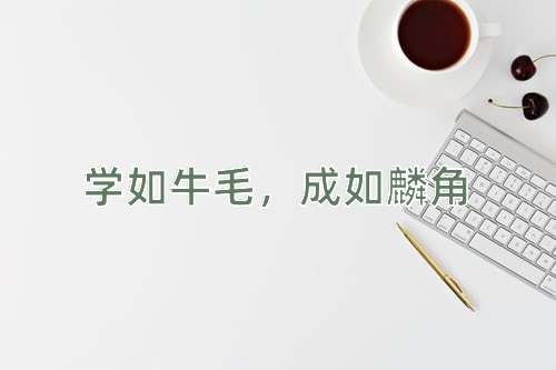 成语学如牛毛，成如麟角