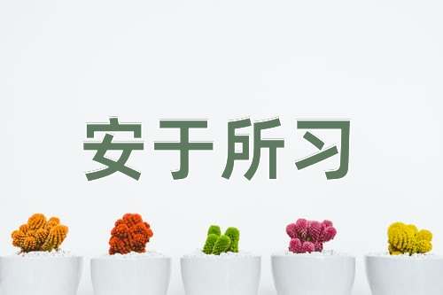 成语安于所习
