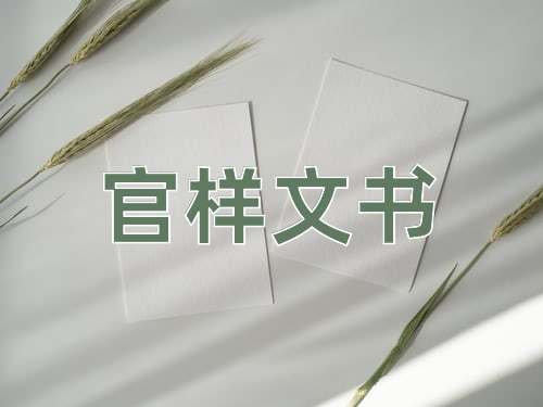 成语官样文书
