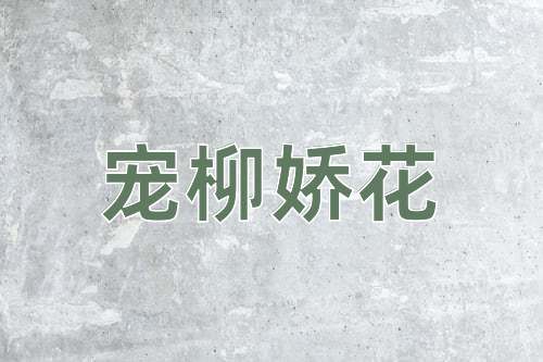 成语宠柳娇花