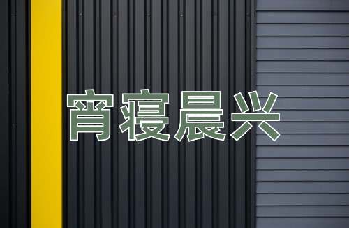 成语宵寝晨兴