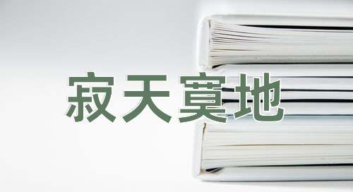 成语寂天寞地