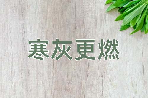 成语寒灰更燃