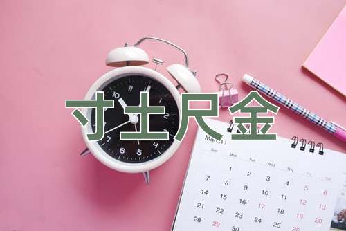 成语寸土尺金