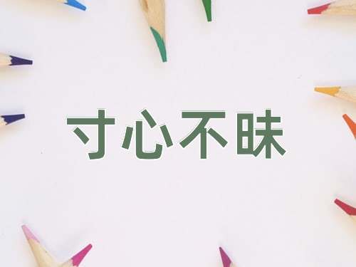 成语寸心不昧