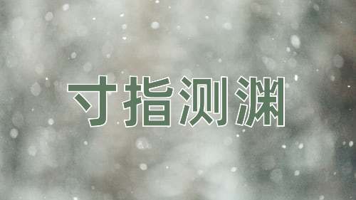 成语寸指测渊