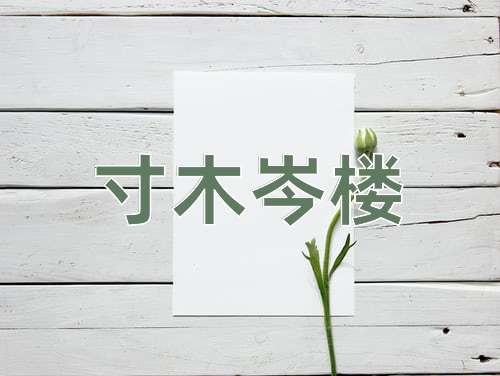 成语寸木岑楼