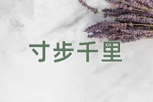 成语寸步千里