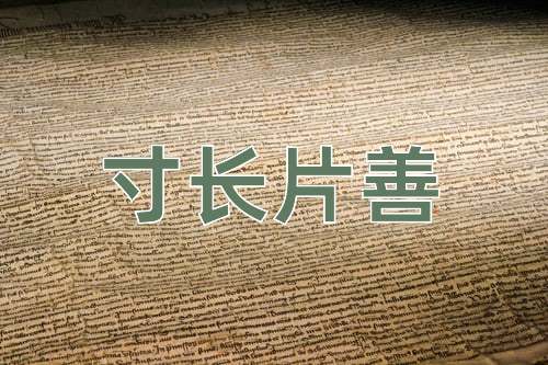 成语寸长片善